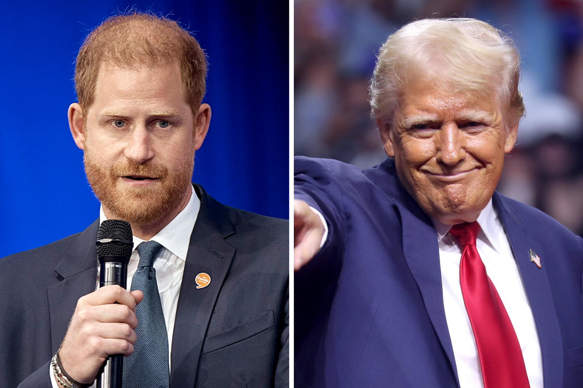 Американист рассказал, как высылка Трампом принца Гарри скажется на отношениях США и Британии