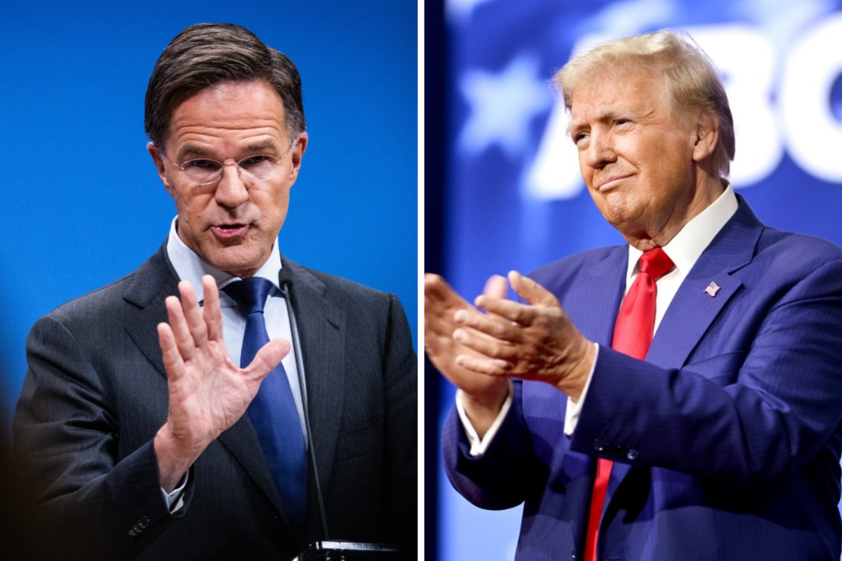 Telegraaf: Генсек НАТО Рютте прилетел к Трампу в штат Флорида