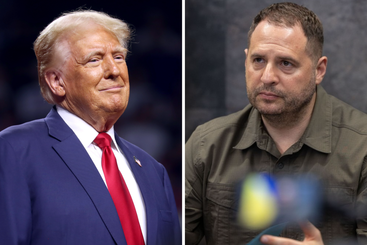 Стало известно о желании Трампа сместить самого близкого соратника Зеленского