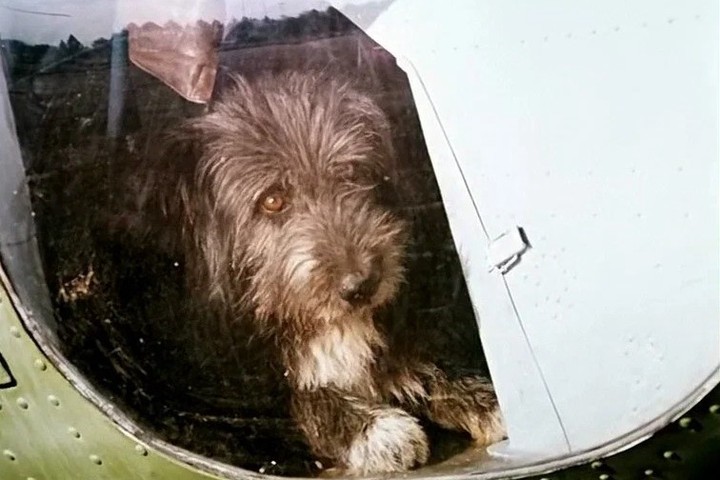 Из какого фильма этот кадр?