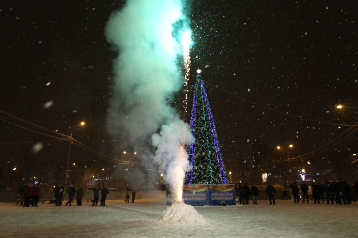 Новогодние фейерверки могут быть опасны для питомцев 