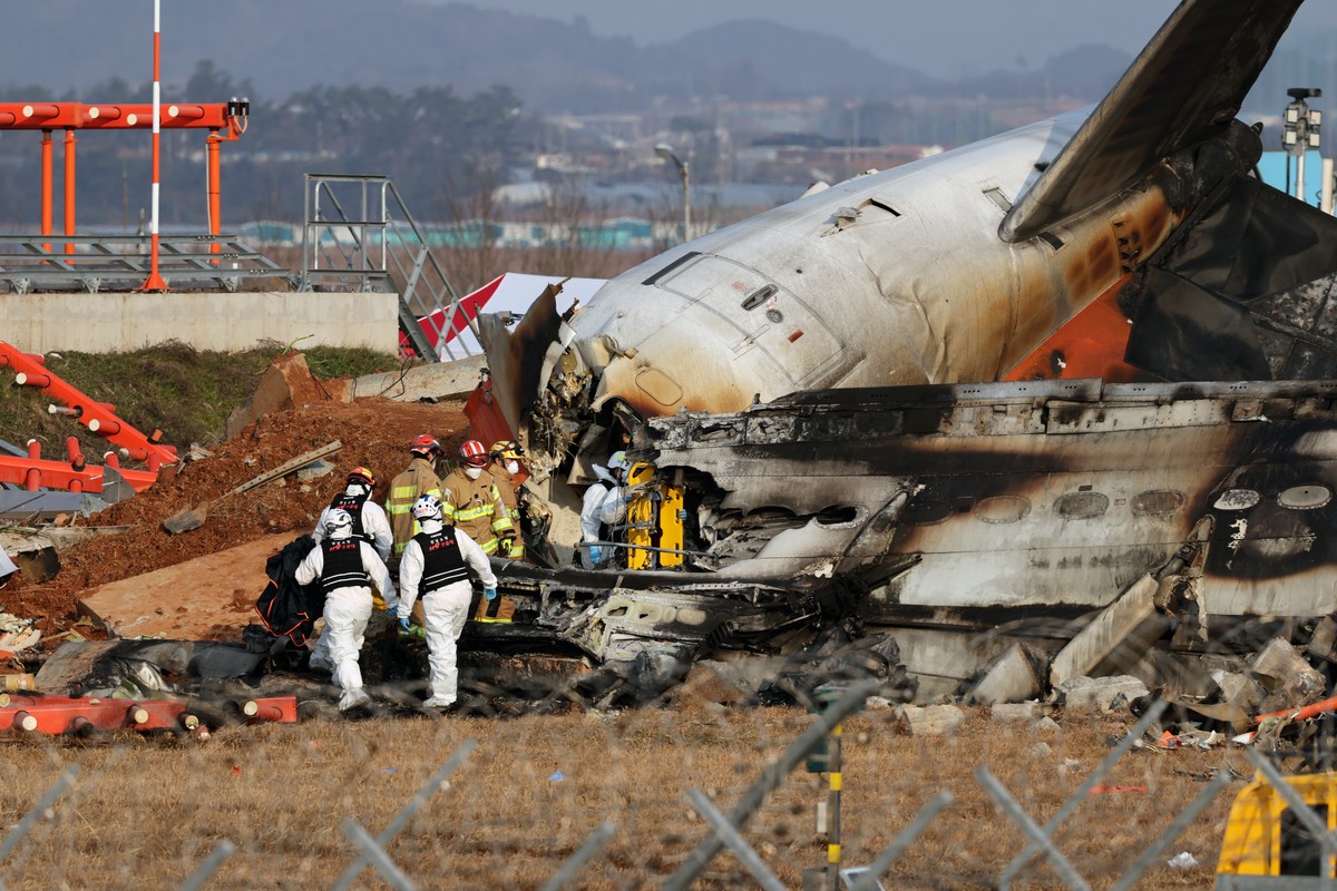 Yonhap: Пассажирский самолёт разбился после столкновения с птицами в Южной Корее