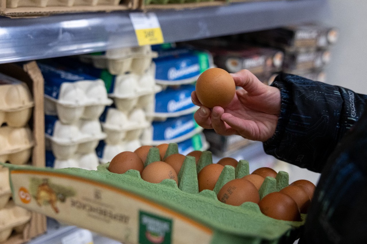 Налоговое время: как рост НДС повлияет на людей и бизнес в России