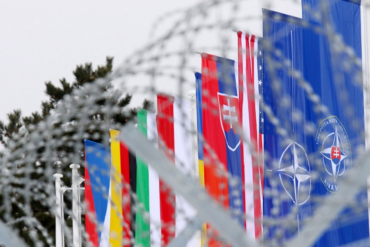 Зеленский: Венгрия, Словакия, США и Германия не хотят видеть Украину в НАТО
