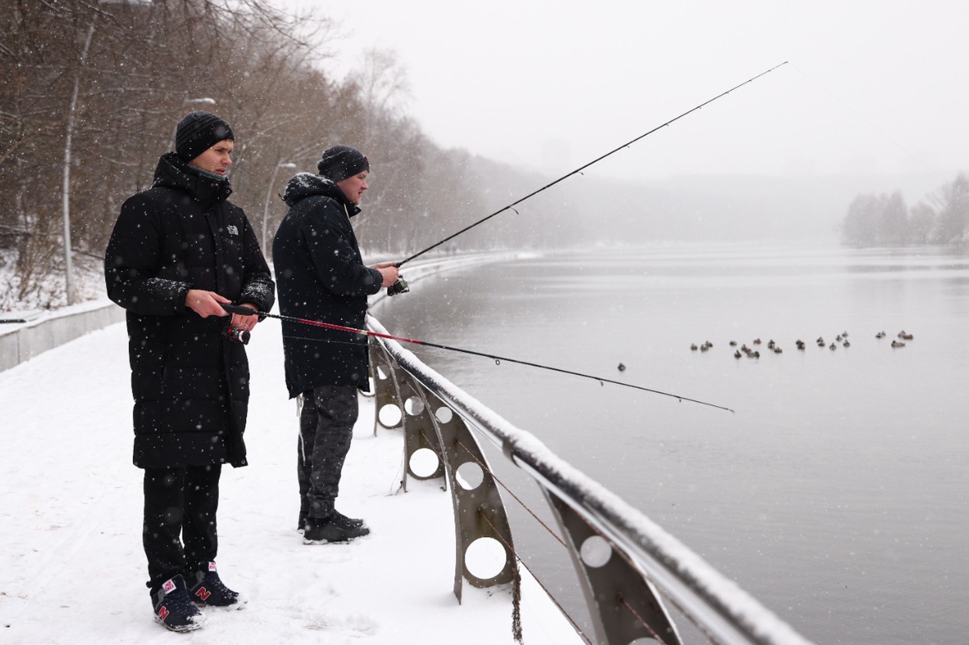 Улов на 18,5 млн: россиянин заплатит штраф за ловлю редкой рыбы