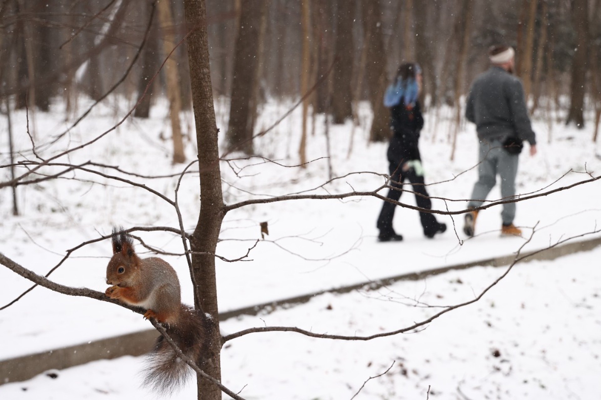 Россияне нашли лучший способ бороться со стрессом
