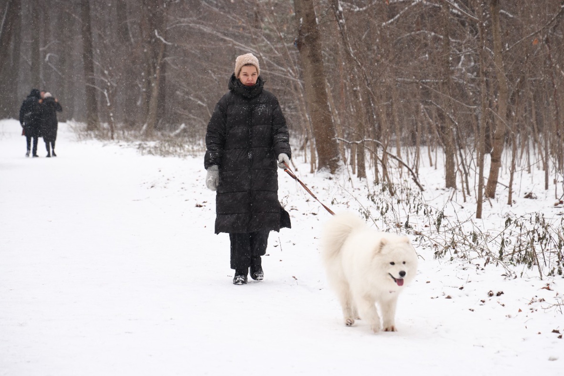 В Госдуме раскритиковали идею налога на выгул собак