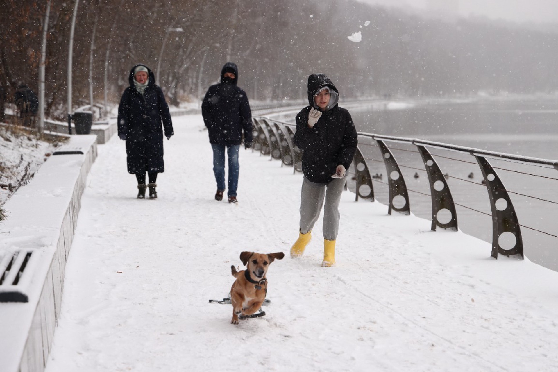 Россиянам дали совет, как легко повысить работоспособность