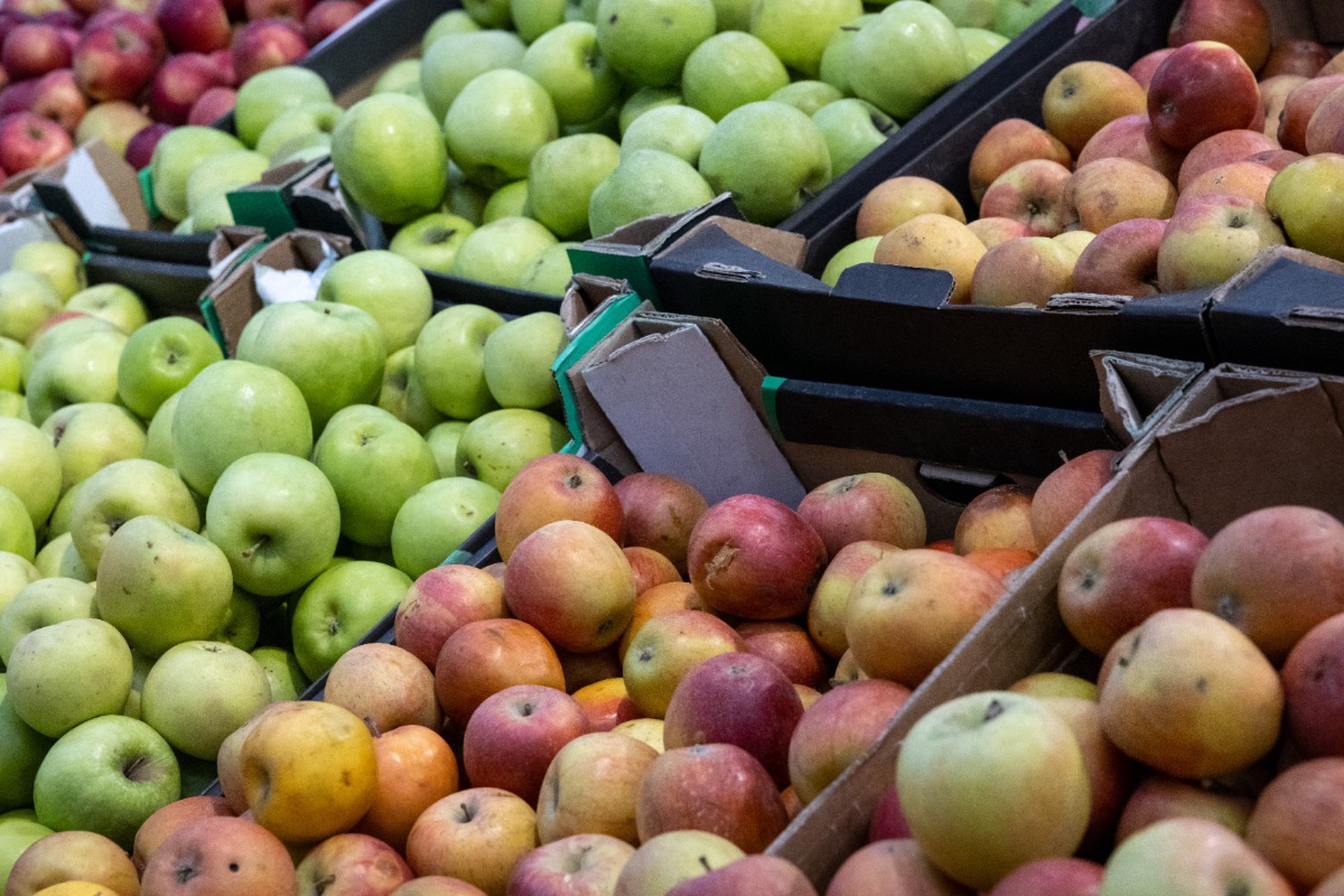 Поднебесные цены на яблоки шокировали россиян