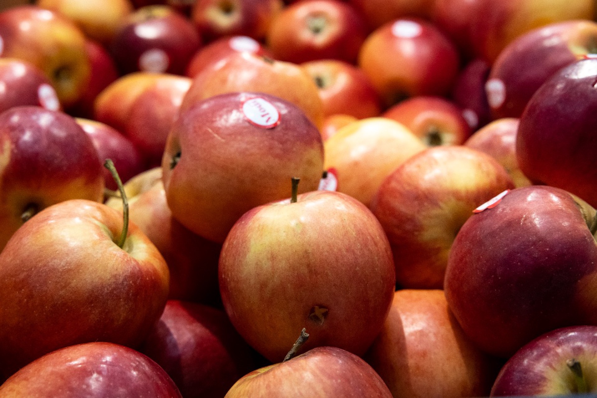 Россия практически лишила мир грузинских яблок 