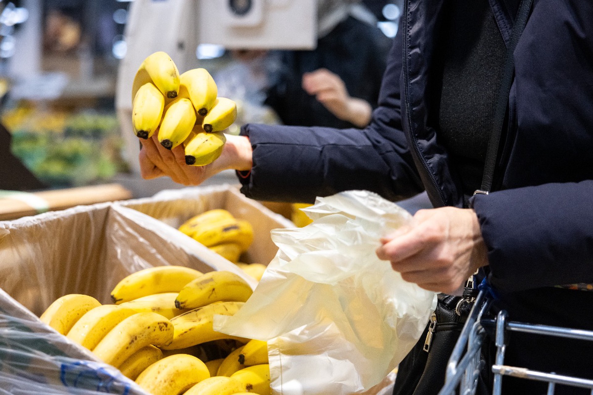 Бананы и ананасы начнут поставлять в Россию из новой страны 