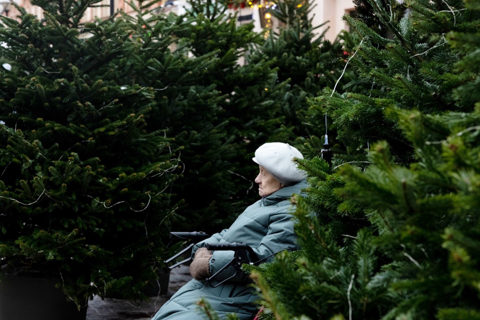 Слишком поздно: о предновогодних выплатах пенсионерам высказались в Госдуме
