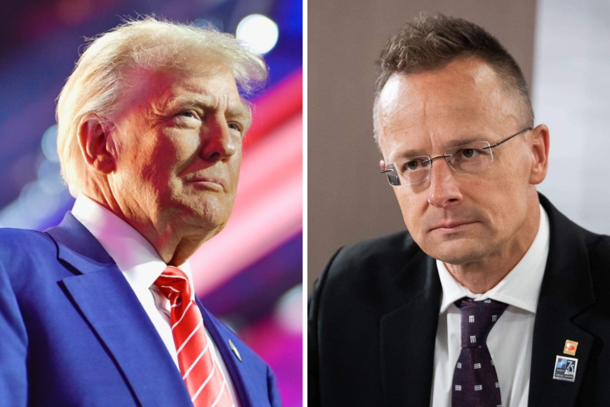 Эксперт объяснил, почему Трамп готов разыгрывать политические комбинации именно с Венгрией