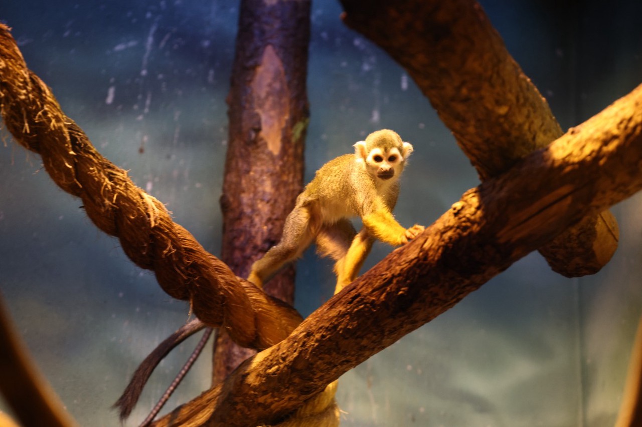 Китайский Новый год – 2026: кому Лошадь подарит деньги и большие перемены