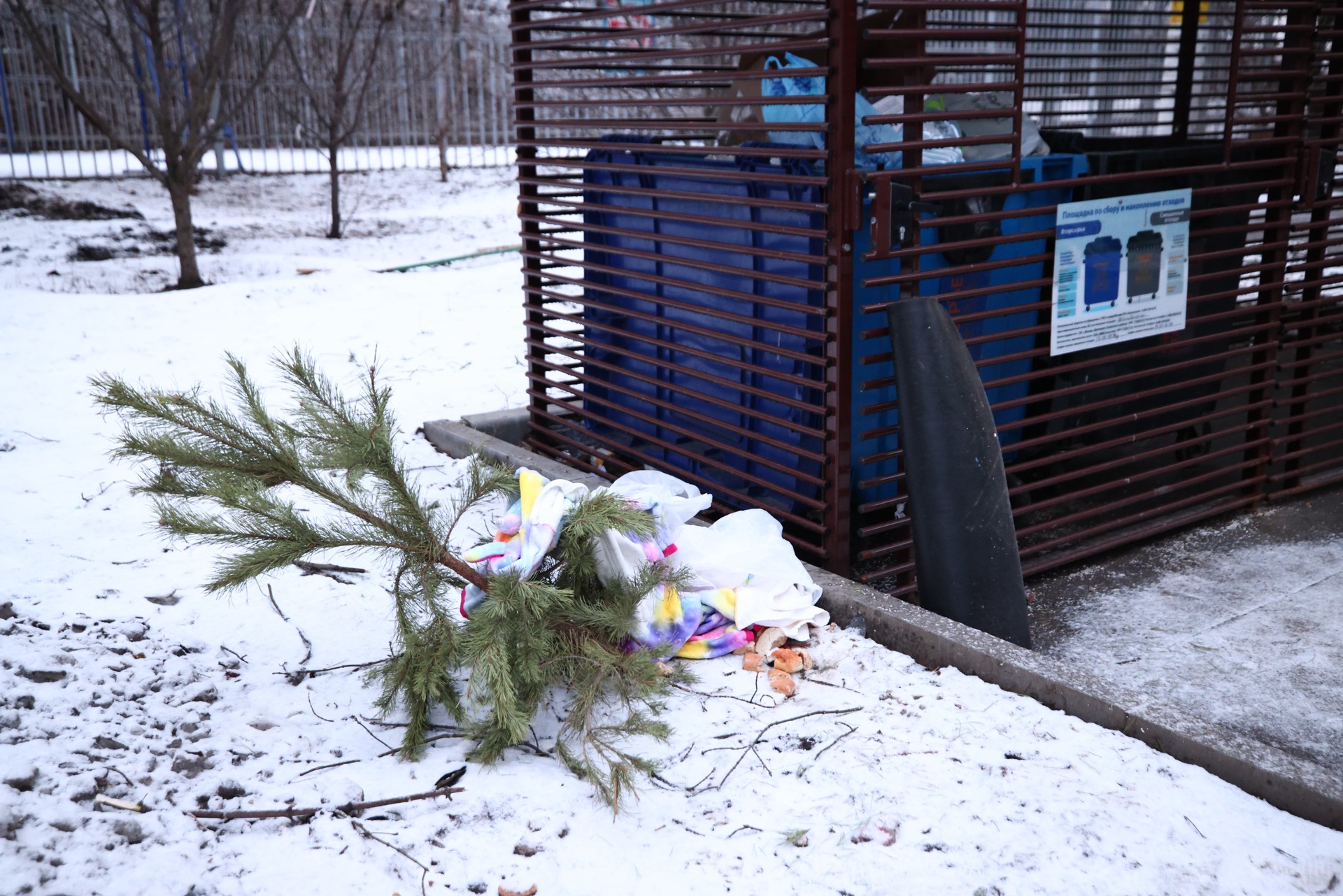 Россиян предупредили о штрафе за вынос елки на помойку