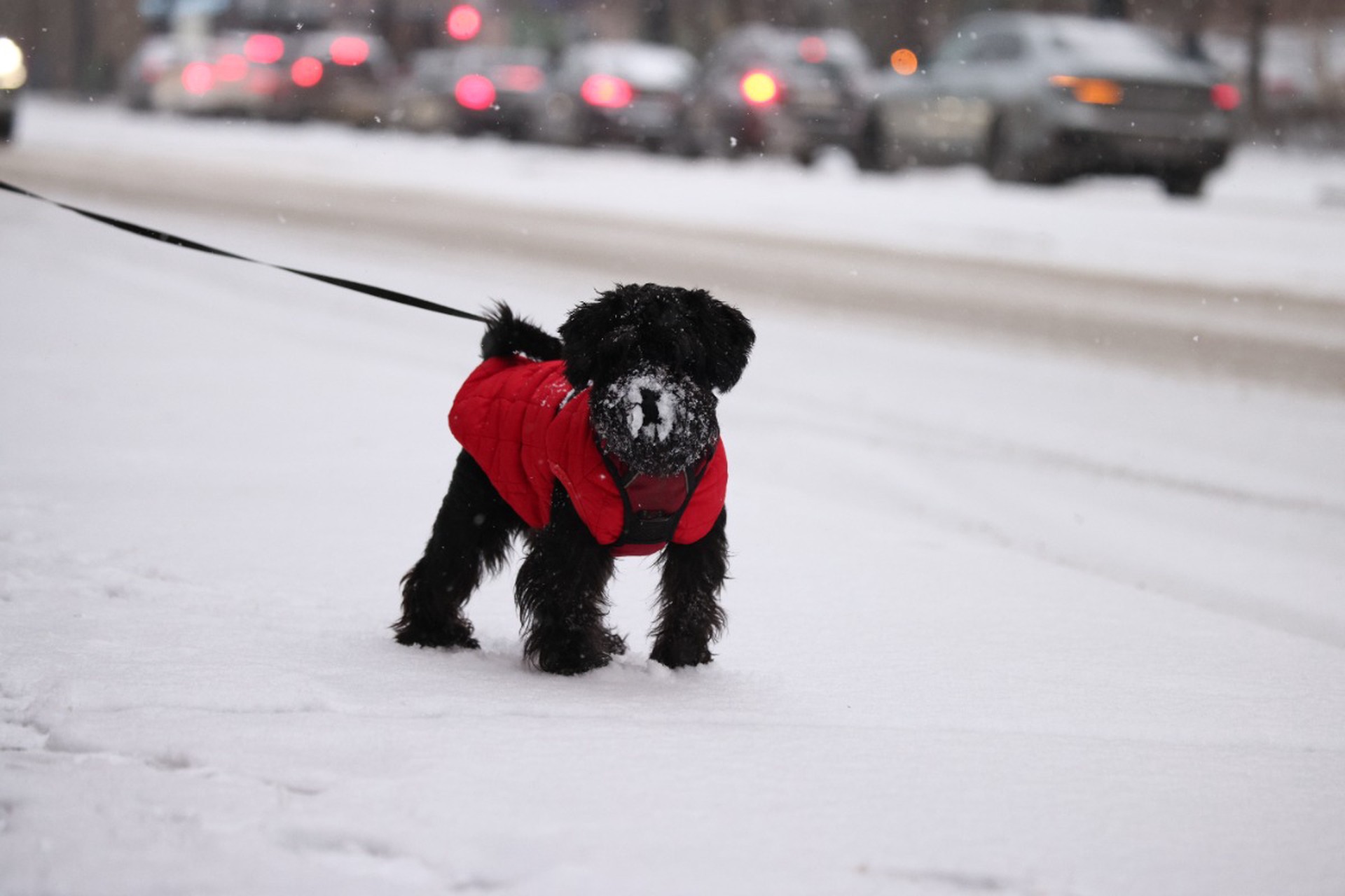 В Москву на следующей неделе придет снег