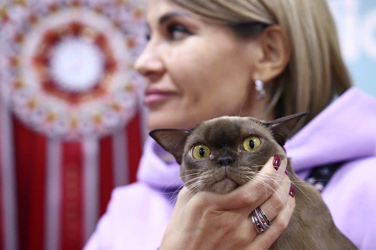 В РПЦ предостерегают: животное с человеческим именем может задеть чувства верующих