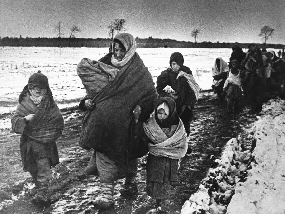 Россия добьётся признания преступлений нацистов против народов СССР геноцидом, заявили в МИД