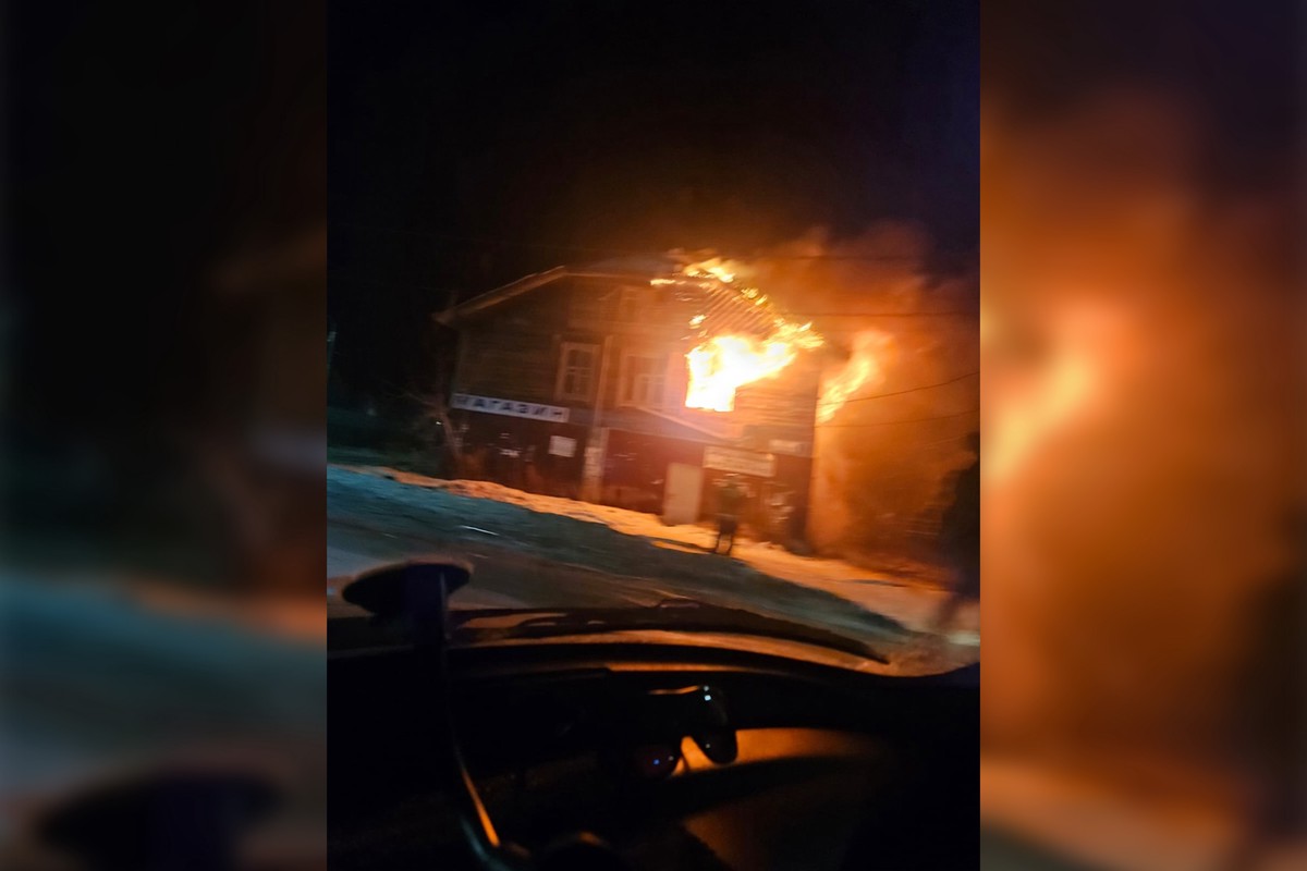 Под Екатеринбургом сгорел приют для кошек и собак
