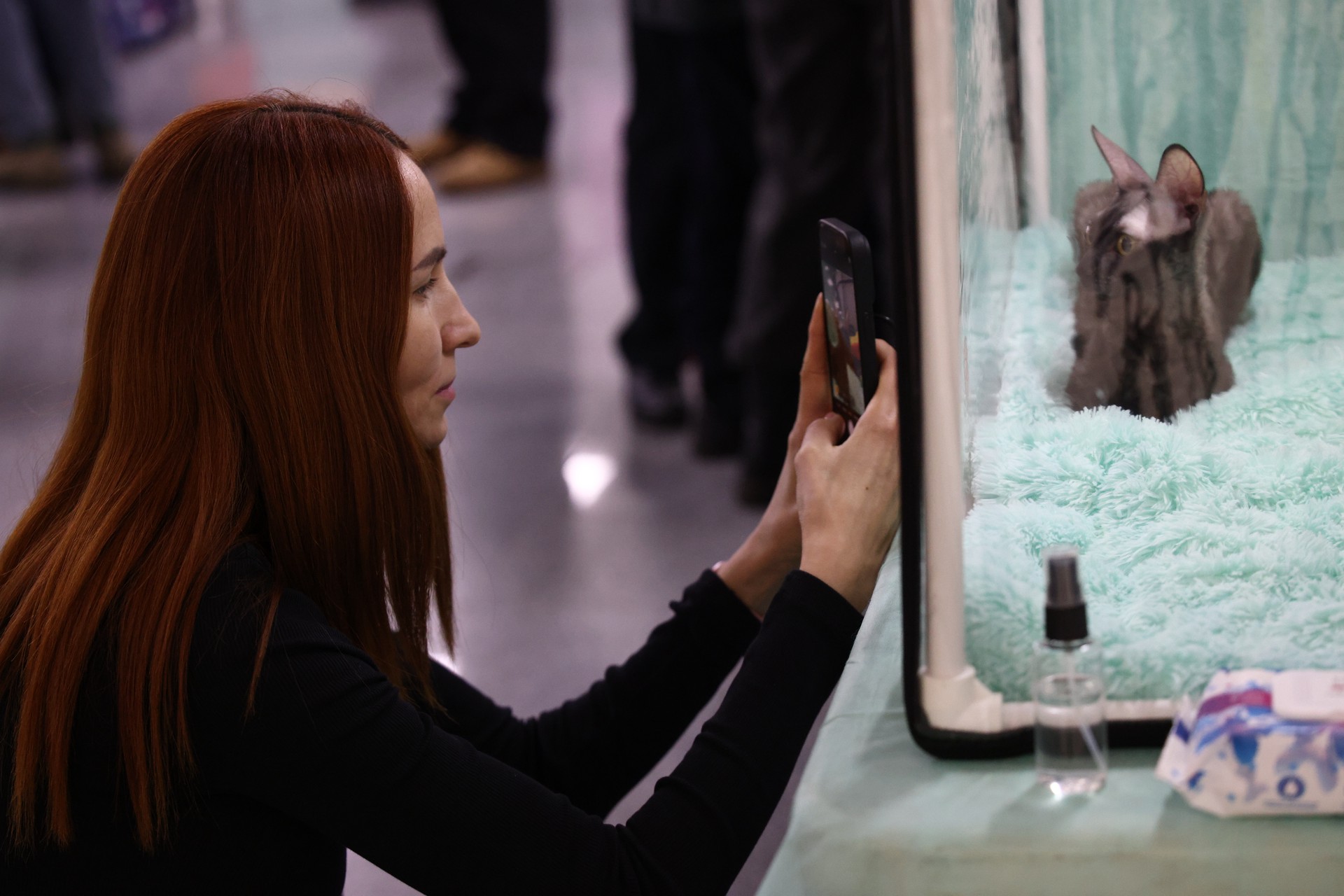 Названы самые популярные подарки с искусственным интеллектом