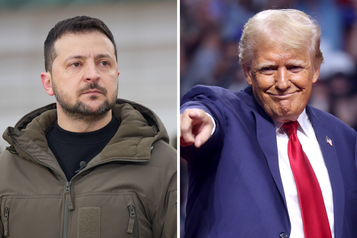 Профессор Штахель: Трамп хочет устранить Зеленского ради сделки с Россией