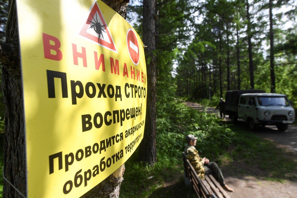 Инфекционист рассказала, в каких регионах России водятся наиболее опасные клещи