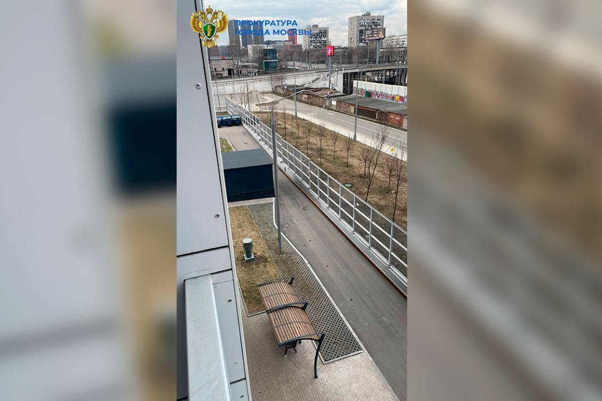 Блогер в Москве выкинул кота из окна из-за проигрыша футбольной команды