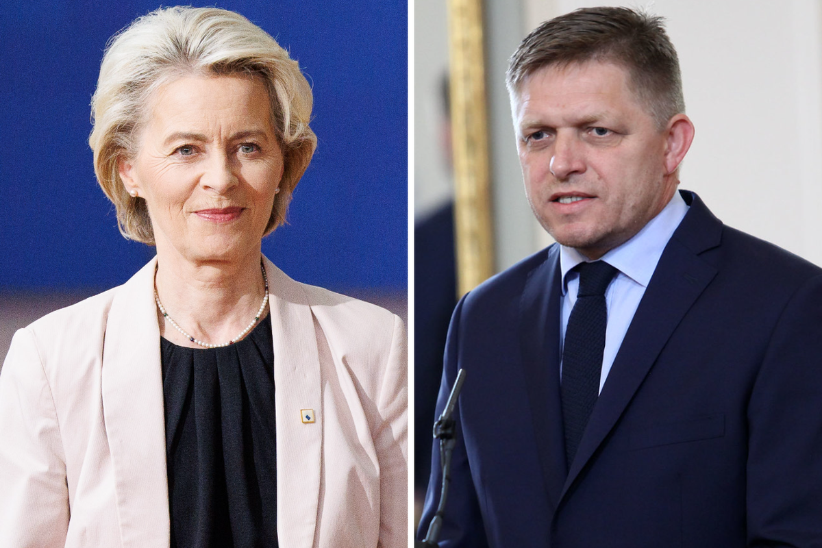 Фицо заявил, что глава ЕК фон дер Ляйен назвала его идиотом из-за переговоров с Трампом