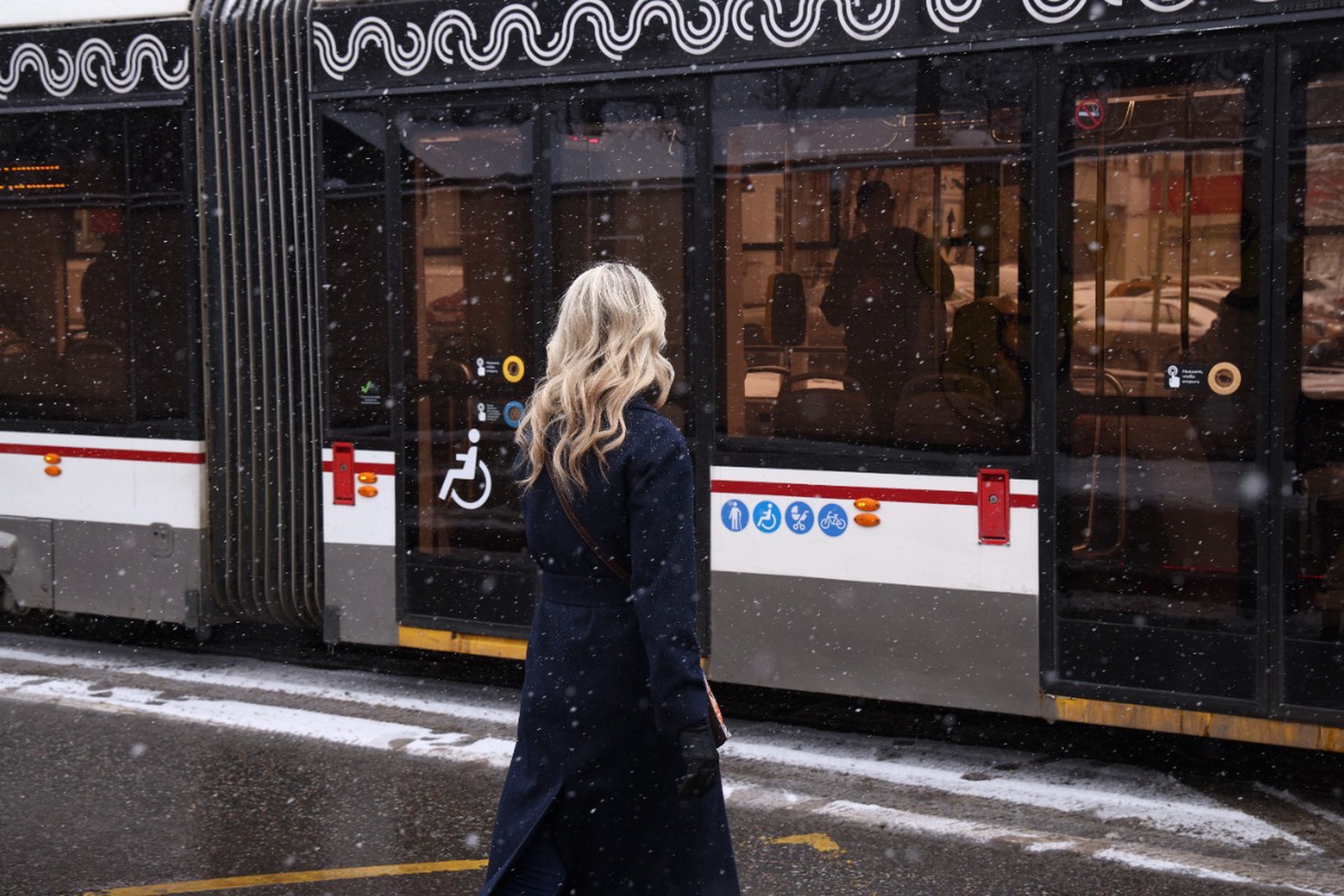 Москвичей ждут заморозки и мокрый снег в середине ноября