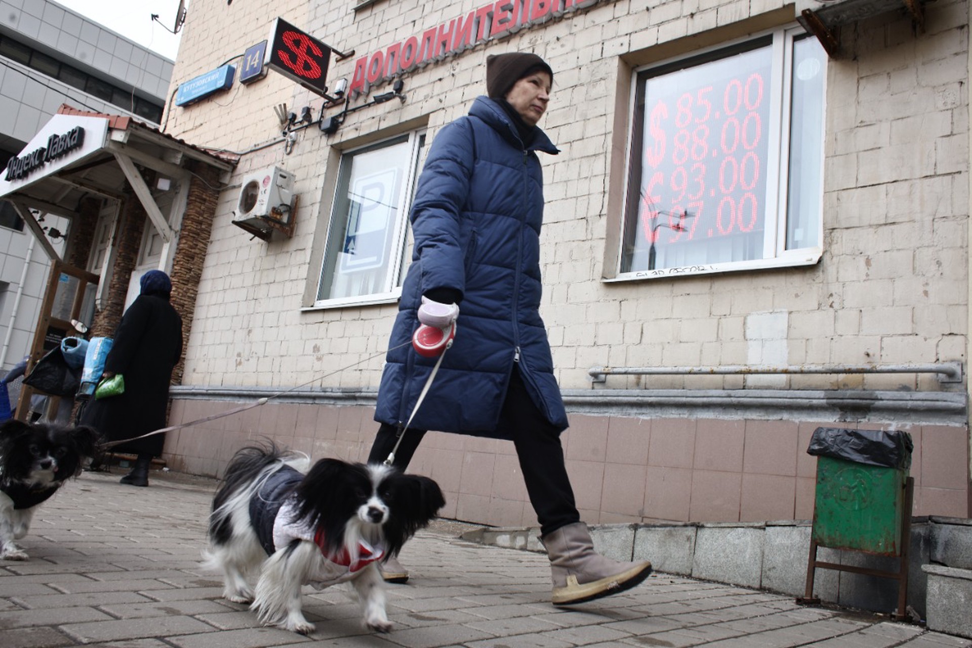 Предложение Останиной ввести запрет на животных в кафе вызвало недоумение у зоозащитников