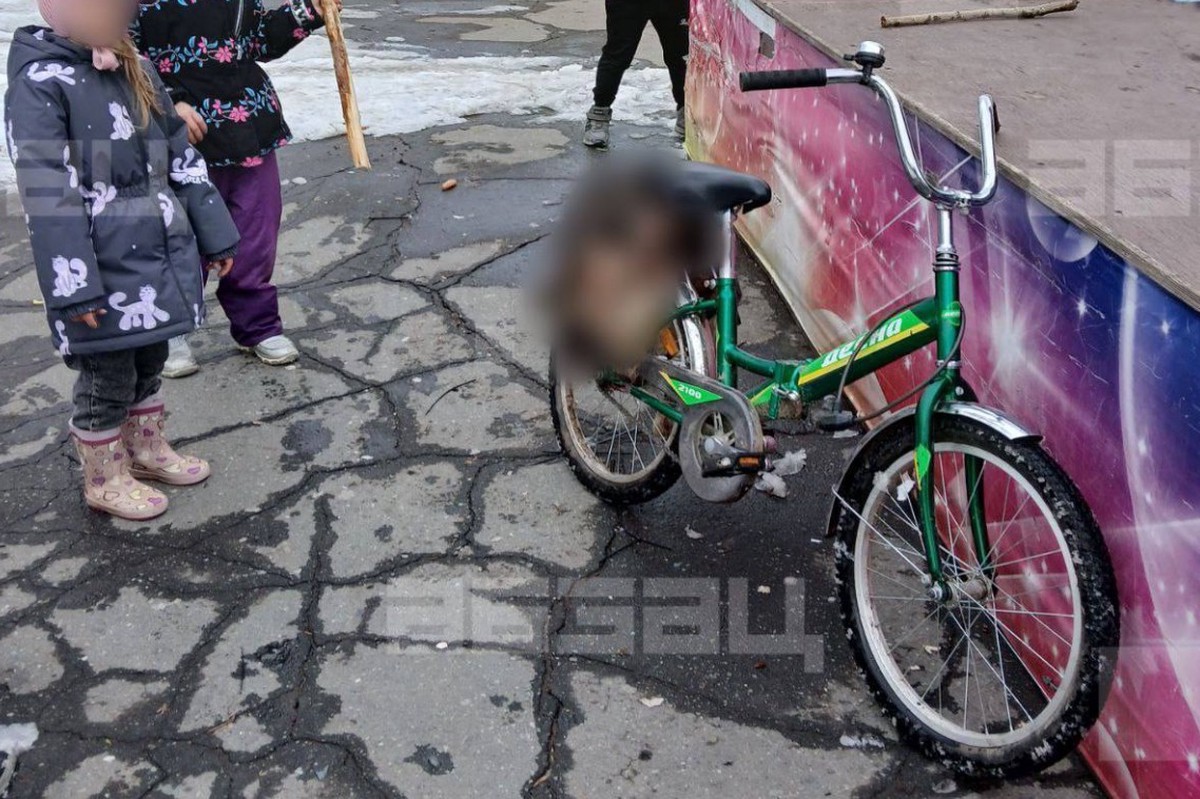 «Сбил и выколол глаза»: в Челябинской области подняли тревогу из-за школьника, замучившего щенка до смерти