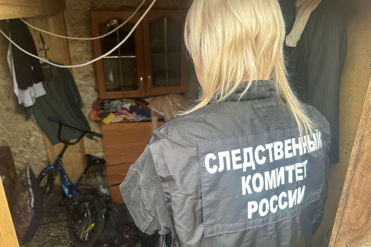 СК: В Канске многодетная мать зарубила топором троих детей