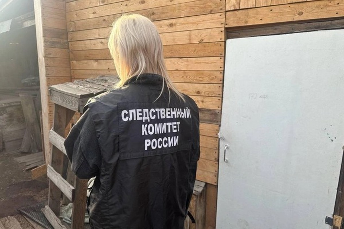 Юрист: Вместе со зверски убившей троих детей матерью на скамье подсудимых может оказаться её психиатр