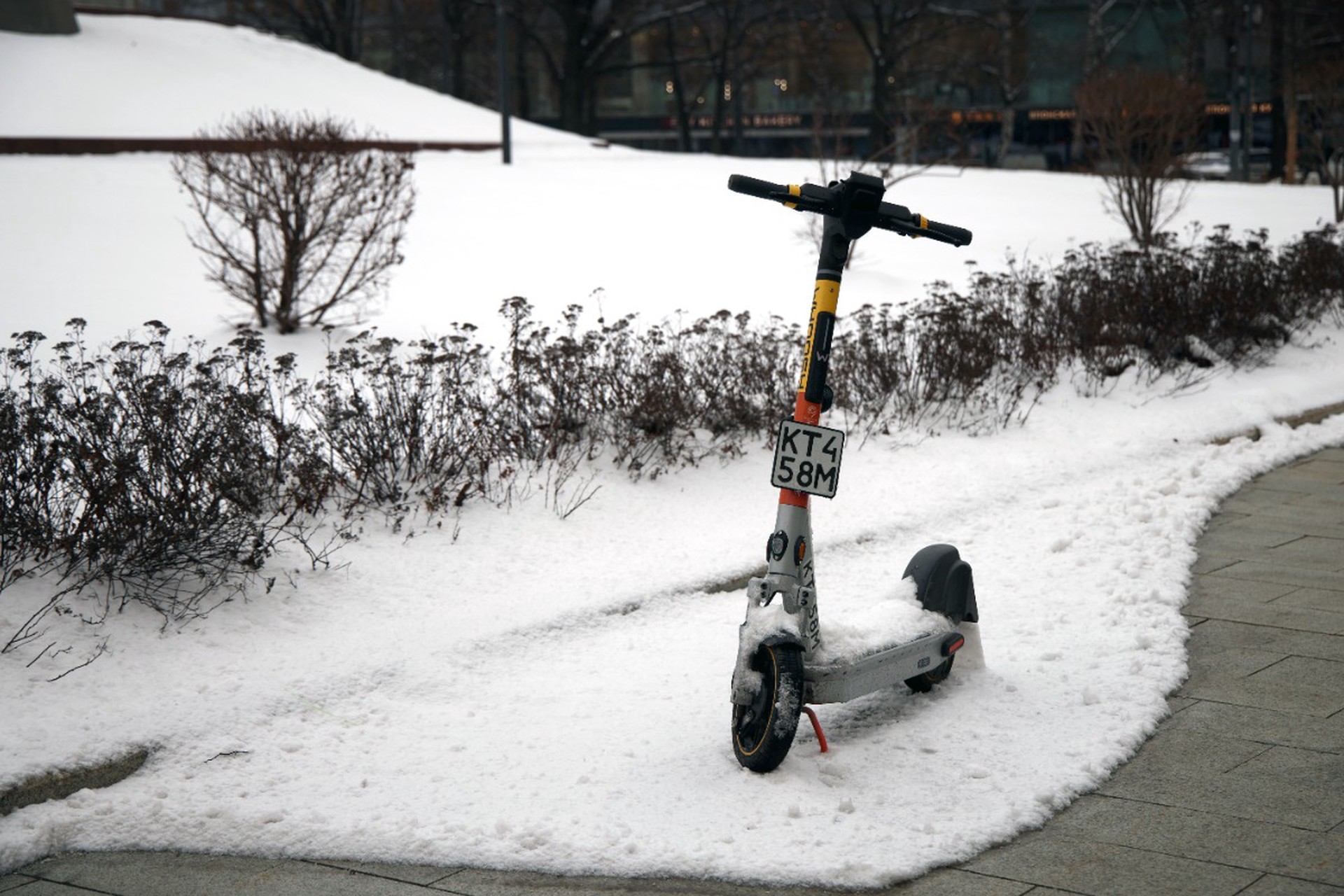 Москвичам рассказали, выпадет ли снег в ноябре