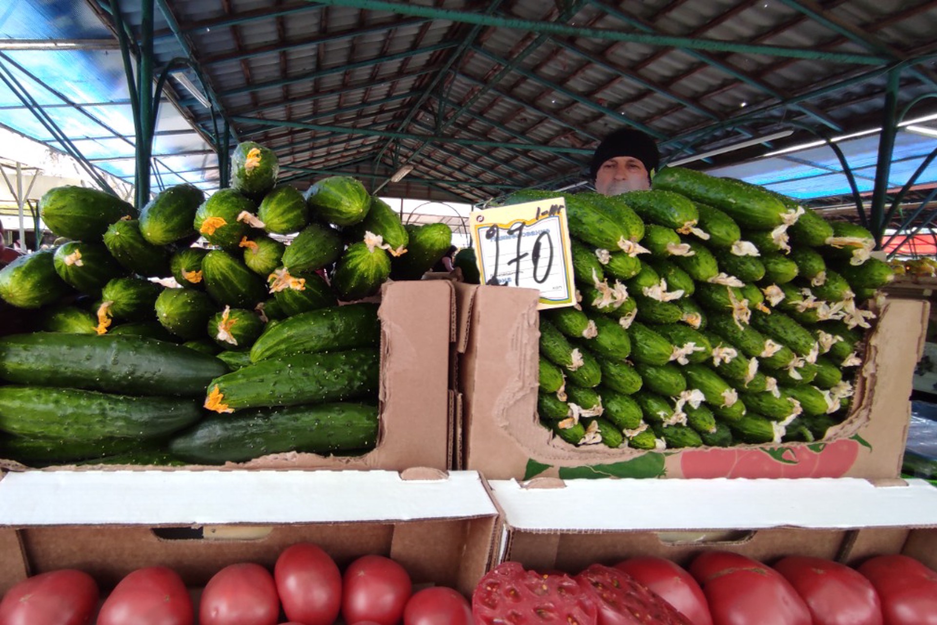 Рекорд на рынке овощей: огурцы сравнялись в цене с мясом