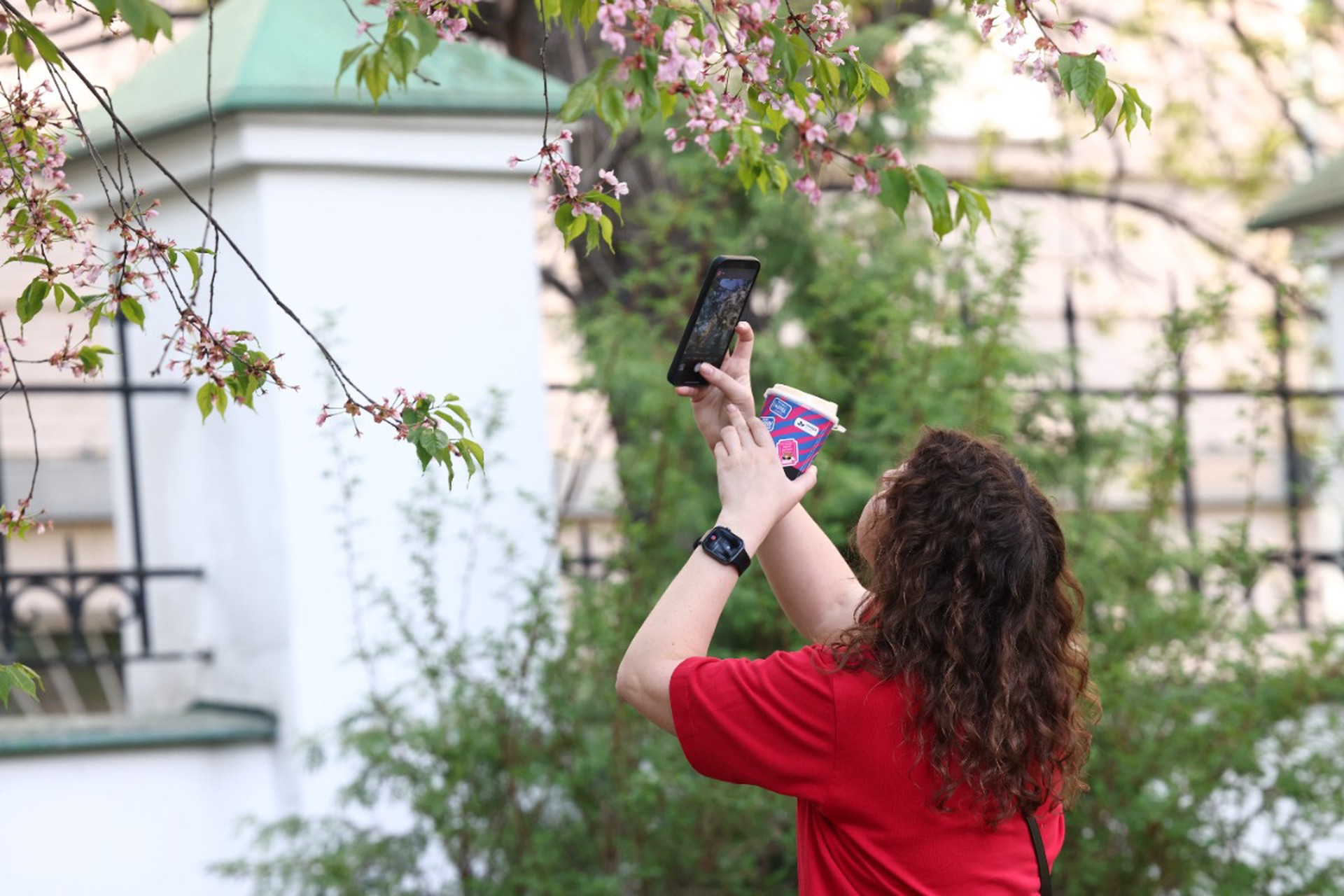 Где отдохнуть в России в майские праздники – 2026: тепло, красота и новые впечатления