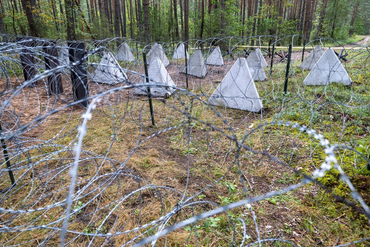 Назван ущерб по делу о «зубах дракона» в Белгородской области