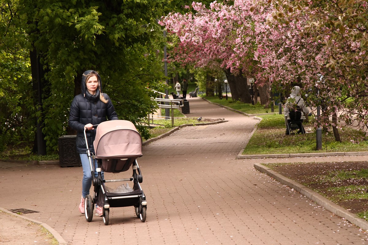 Останина оценила тренд на «мам выходного дня»