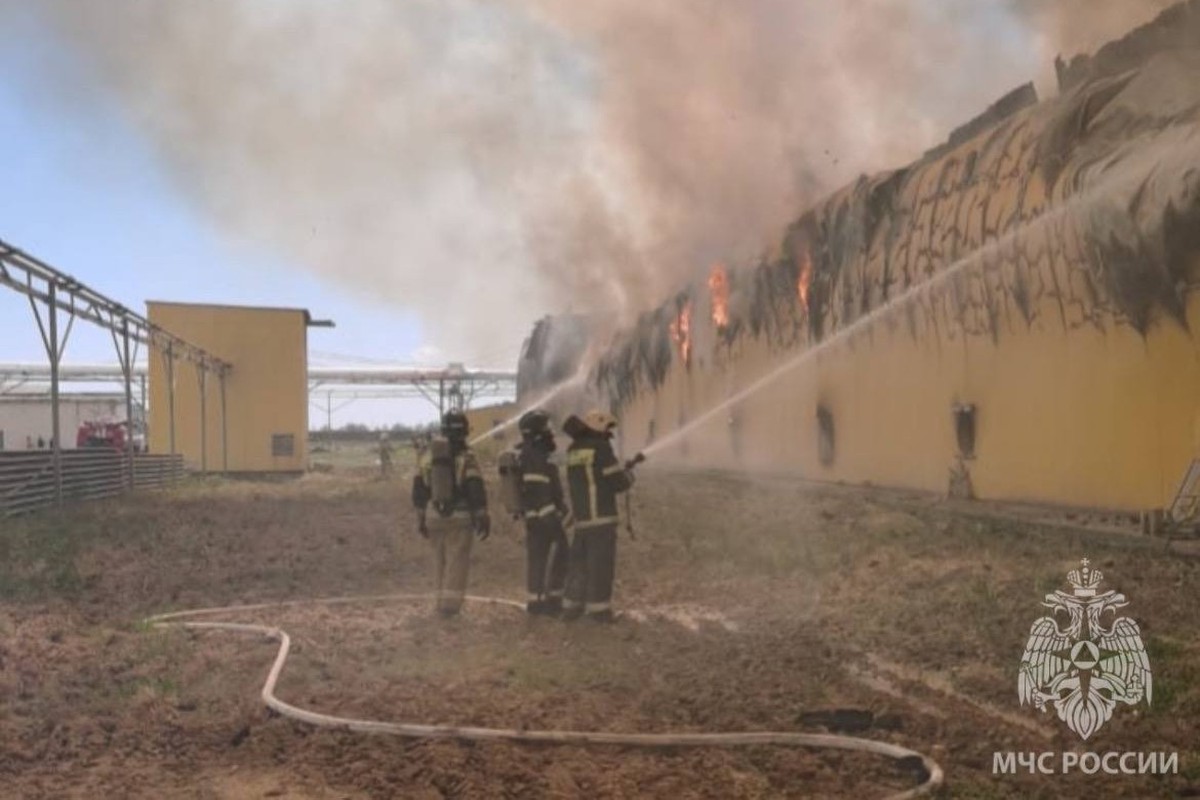 Более 160 тысяч кур погибло при пожаре на птицефабрике в Астраханской области