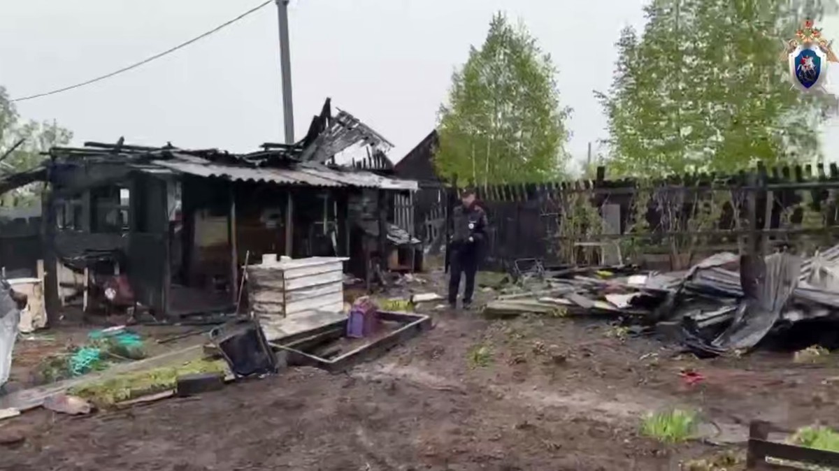 СК возбудил дело после убийства подростков в СНТ Байкальска Иркутской области
