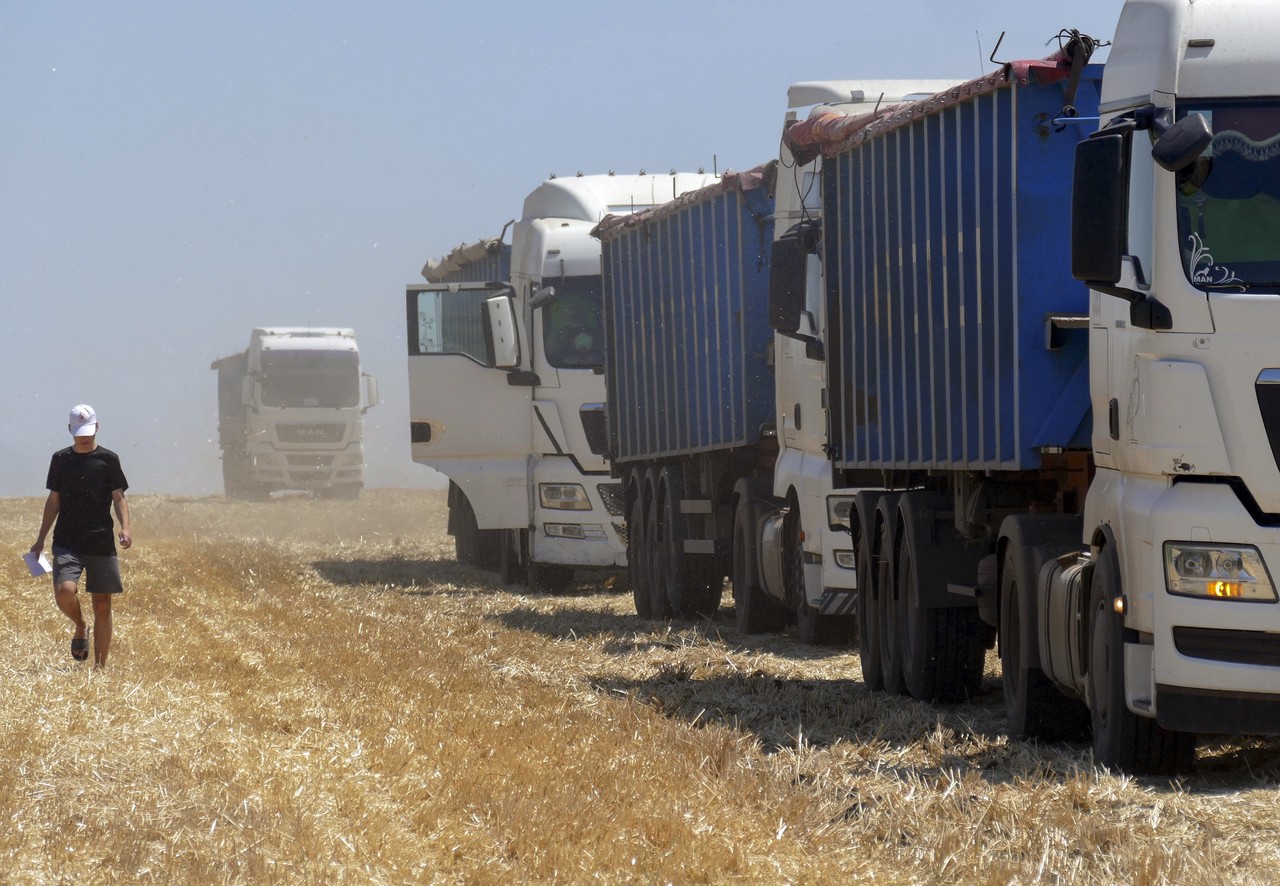 Крайние фермеры: почему Европа собирается ввести тарифы на украинскую продукцию