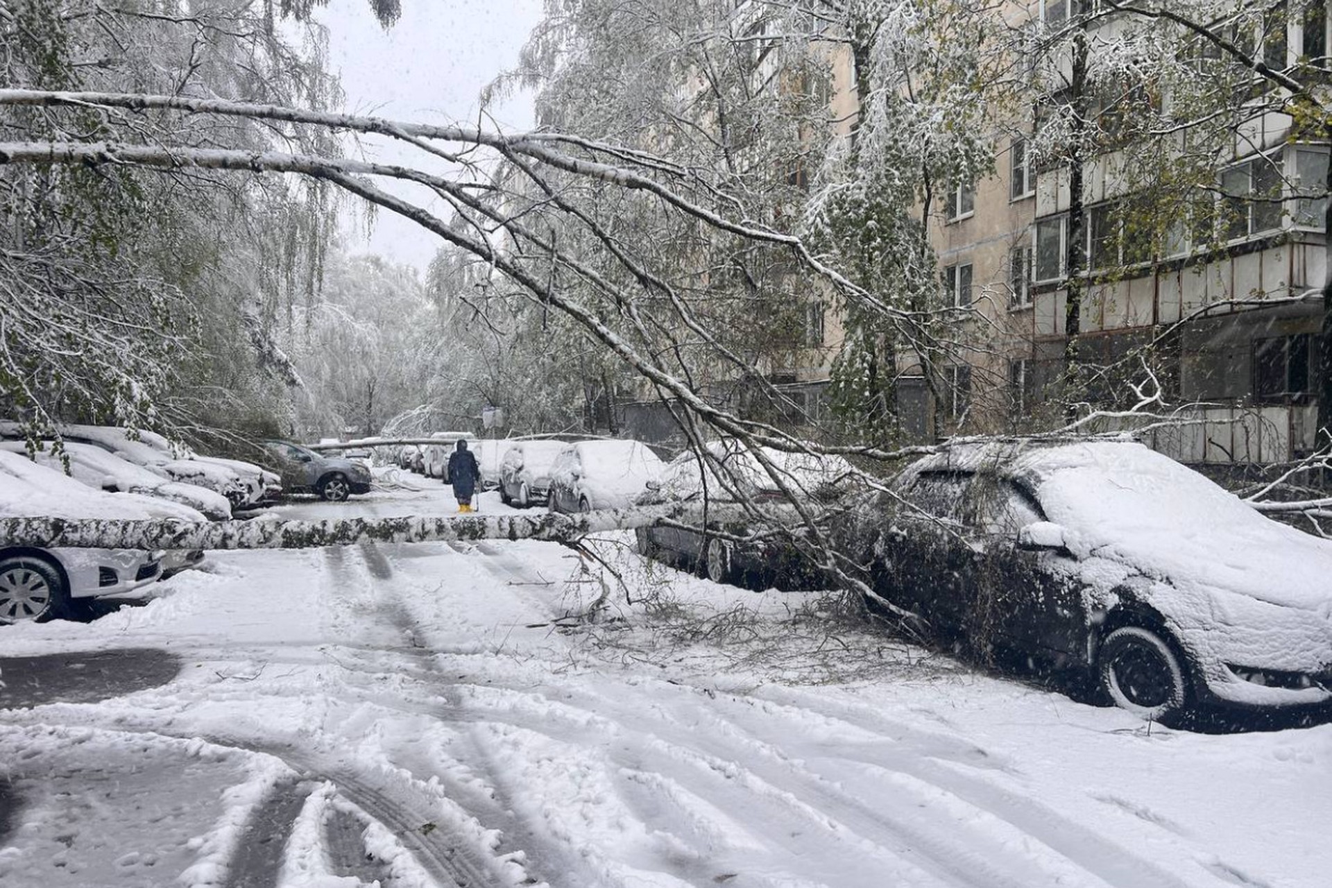 Синоптик предупредил москвичей о новой напасти из-за непогоды