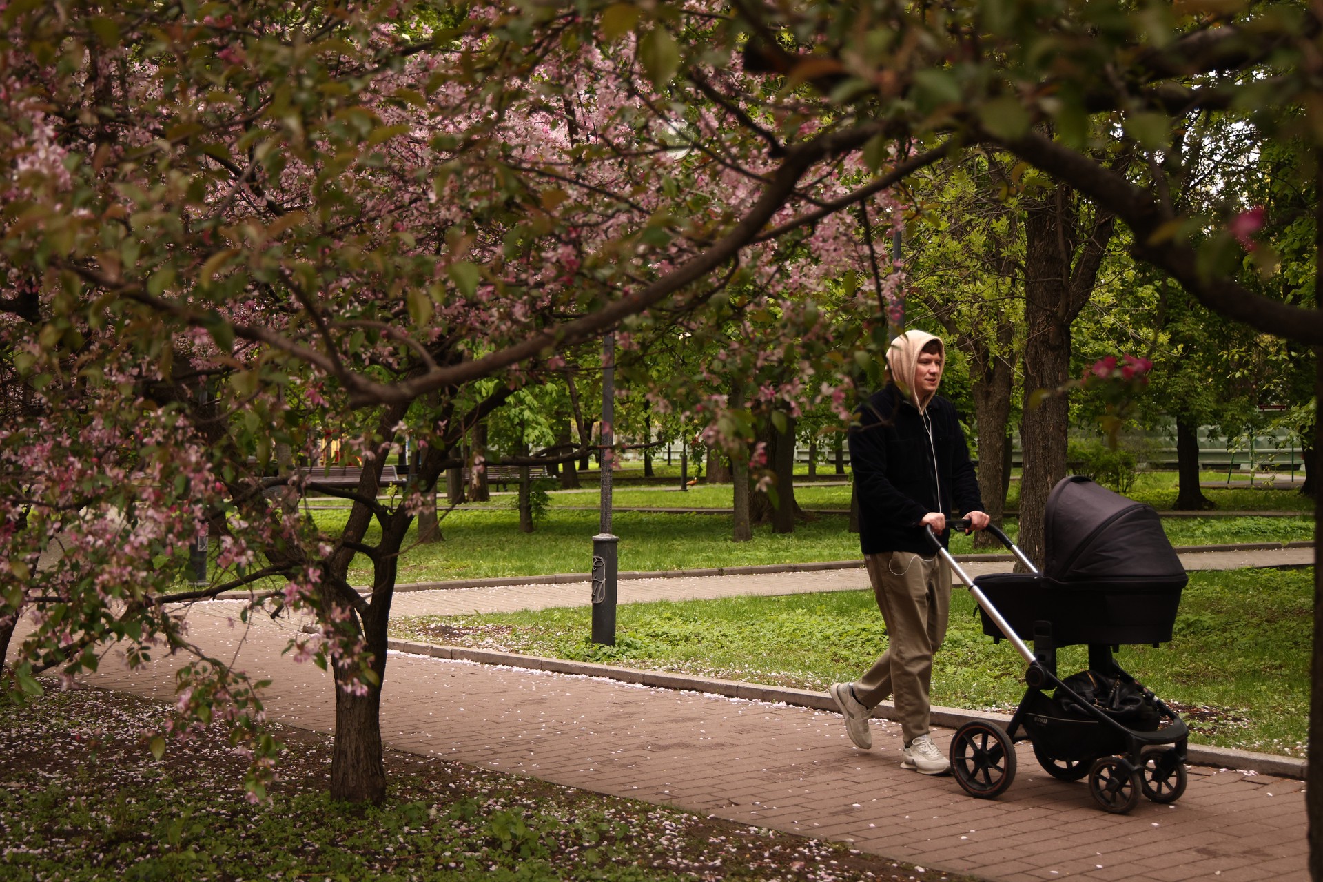 Запрет на вывоз золота, расширение «Честного знака», индексация пенсий: какие законы вступят в силу в мае 2026 года
