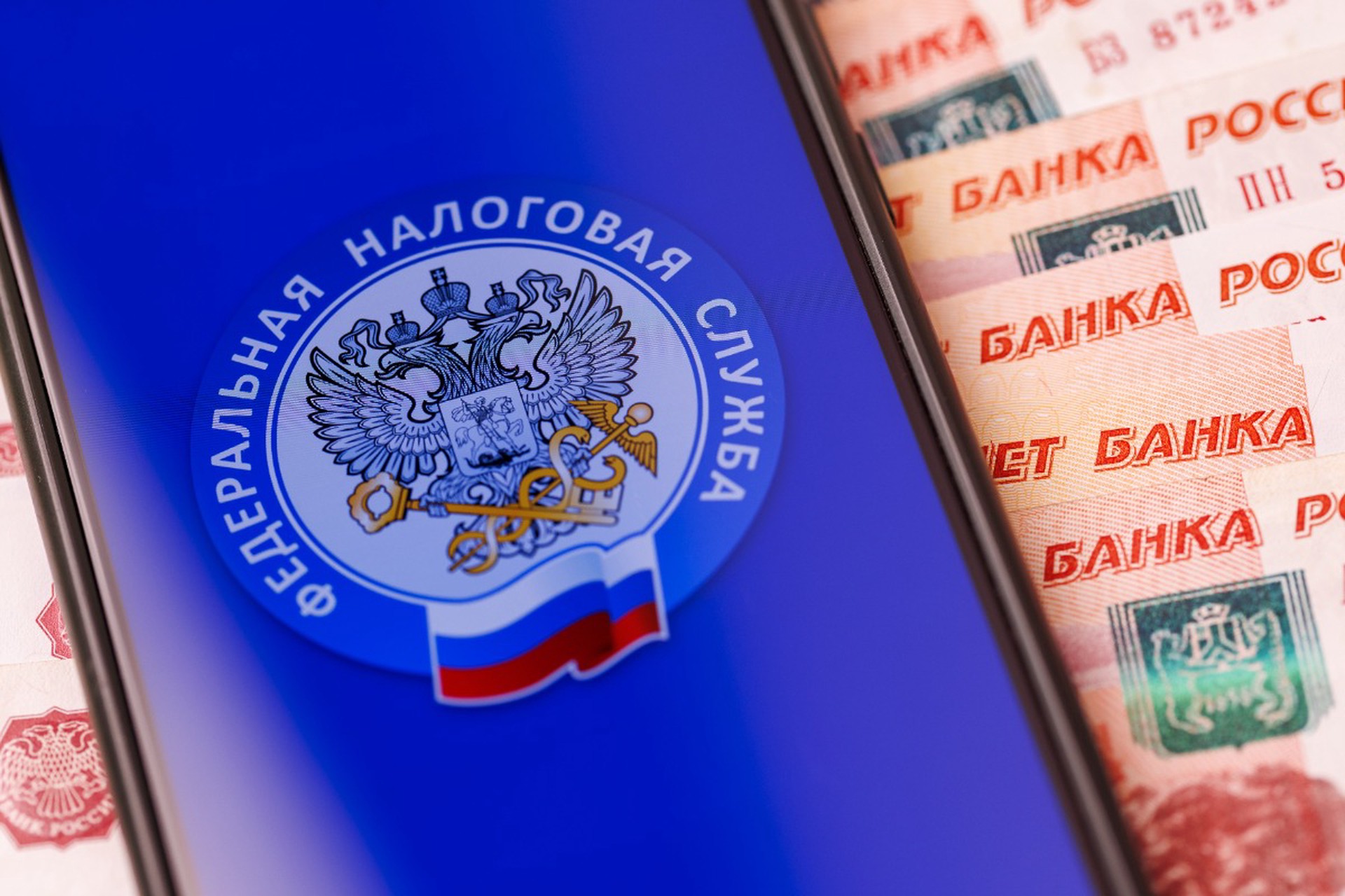 В России зафиксировали сбой в работе ряда государственных сервисов