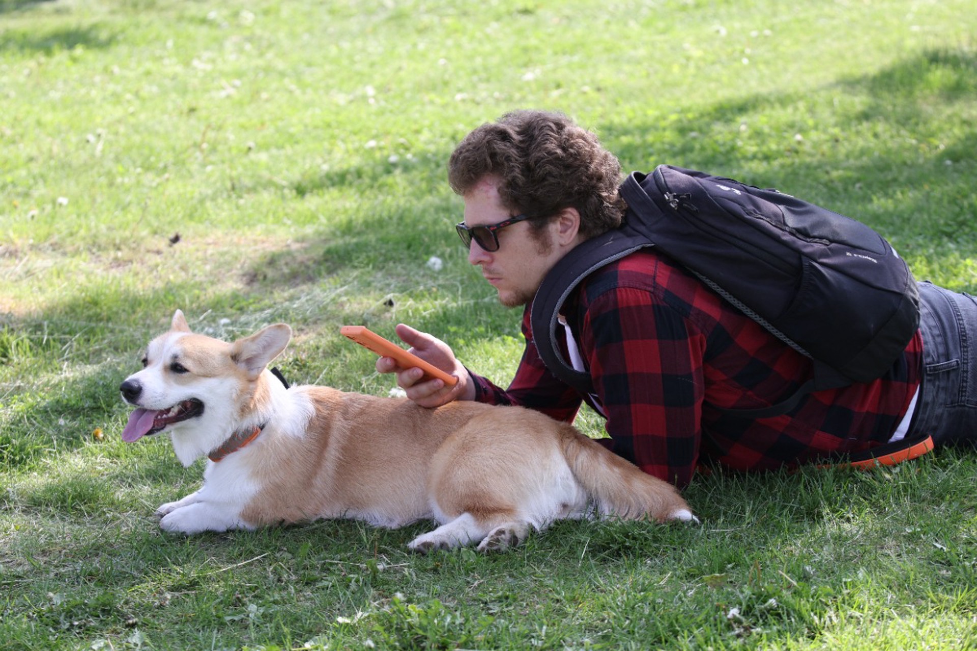 В России хотят создать реестр домашних животных