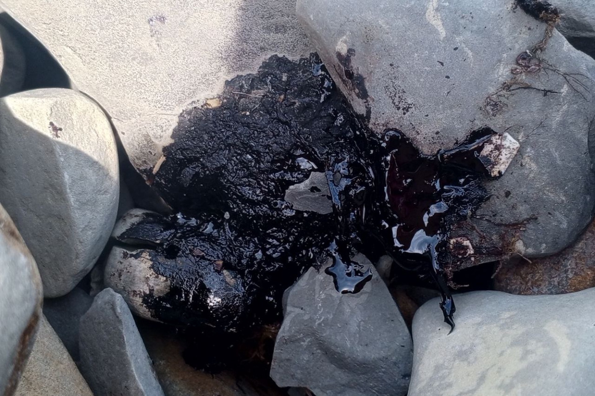 Эколог рассказал, опасно ли для туристов новое нефтяное пятно в Анапе