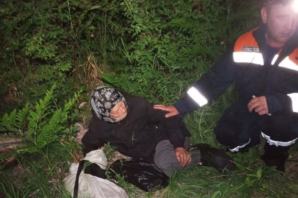 Пенсионерки под Красноярском заблудились и четыре дня выживали в лесу