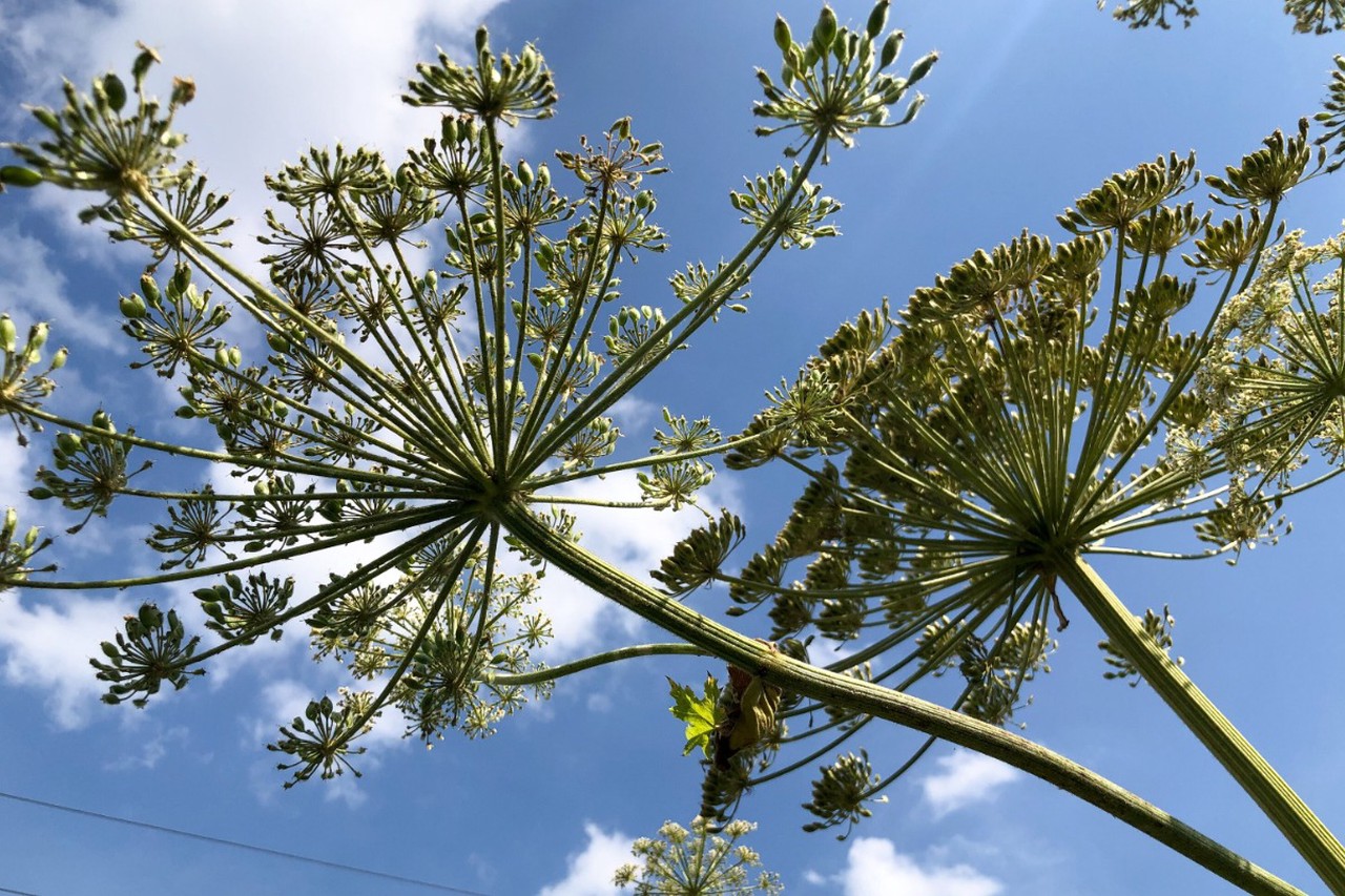 Ремонт на даче своими руками: с чего начать весной