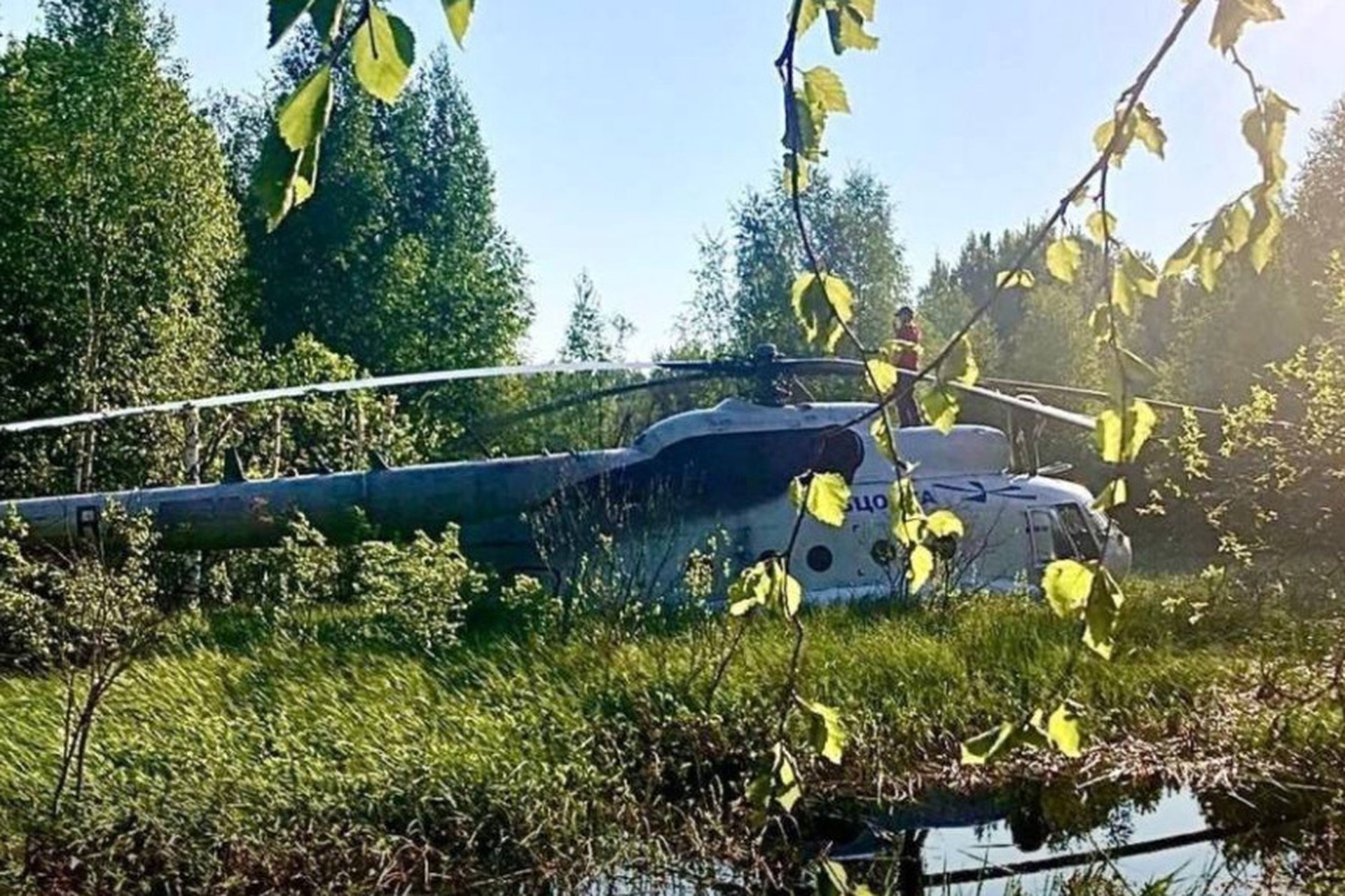 Вертолет Ми-8Т совершил вынужденную посадку в лесу под Томском