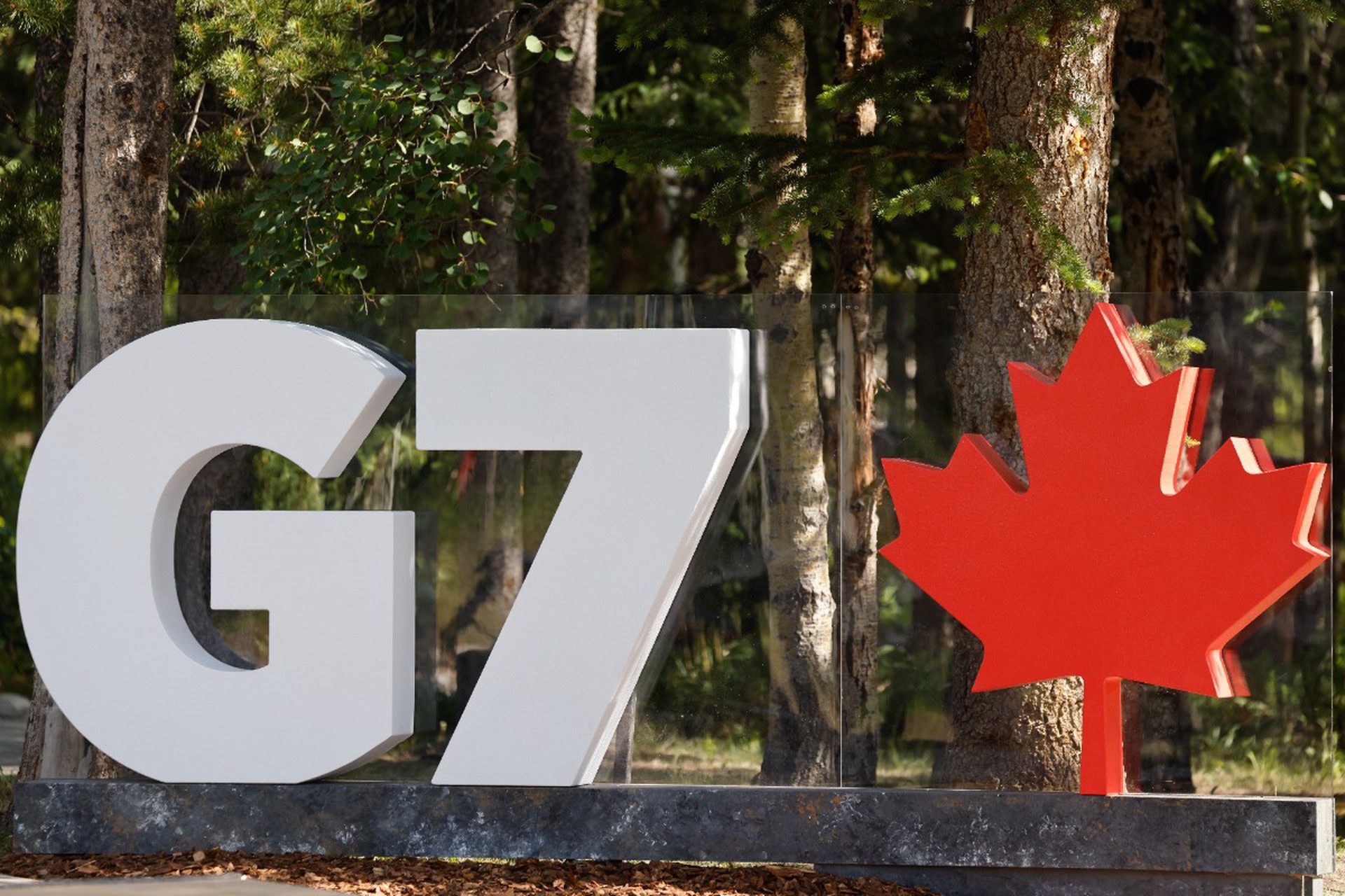 Медведей гризли назвали серьезной угрозой для саммита G7 и мировых лидеров